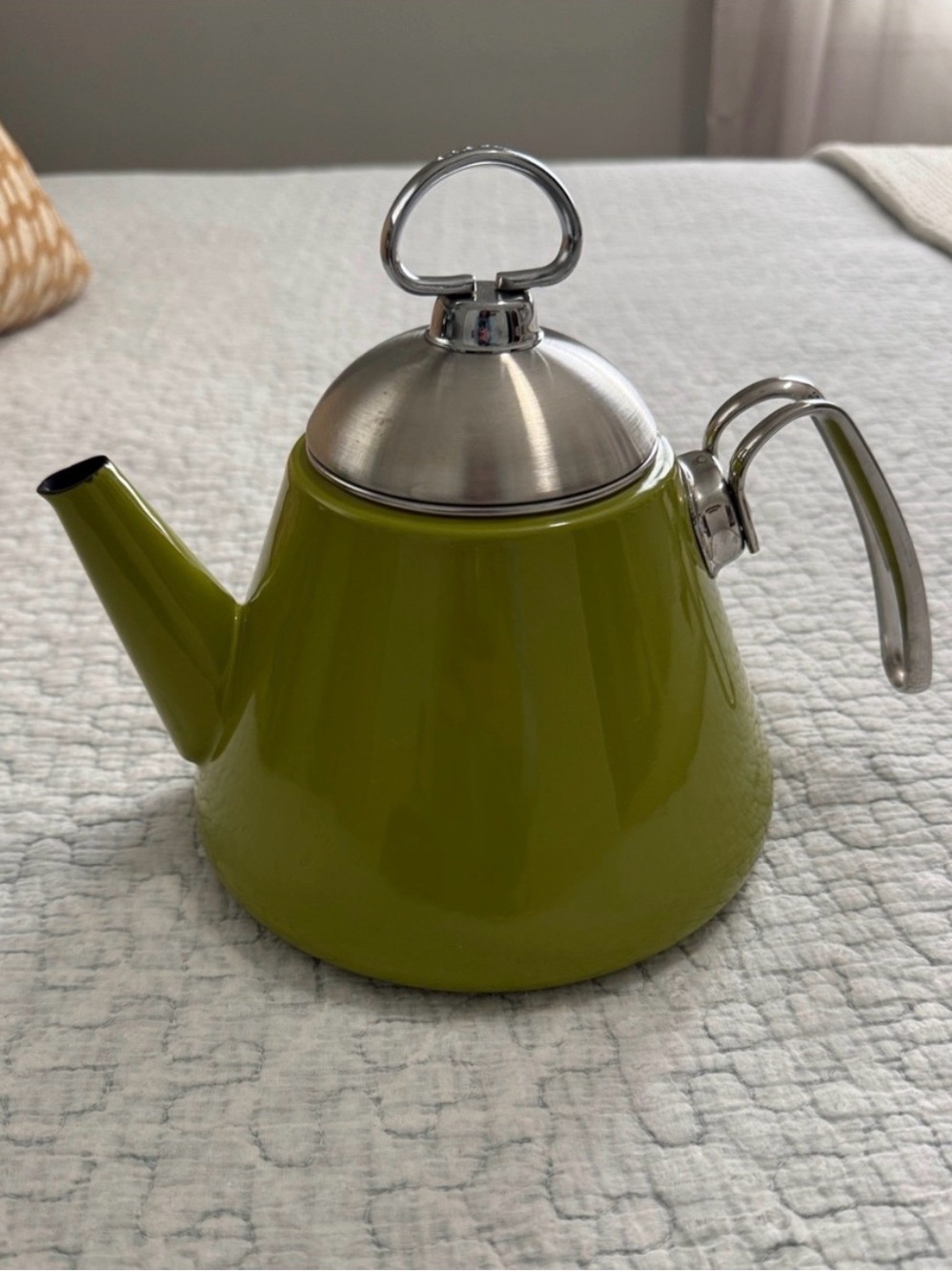 Chantal Green Stovetop Tea Kettle with Stainless Lid